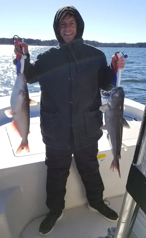 Blue Catfish at Lake Gaston, NC