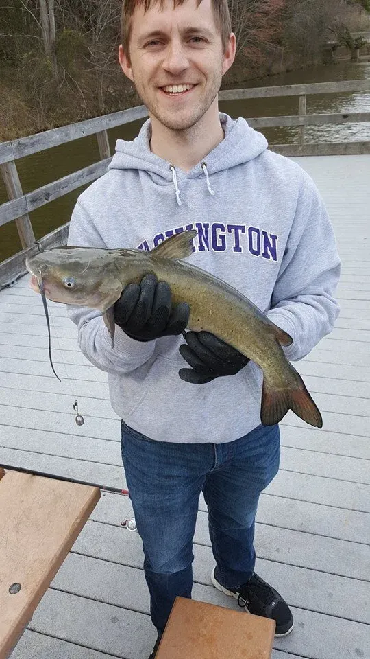 Catfish at Shelly Lake, NC