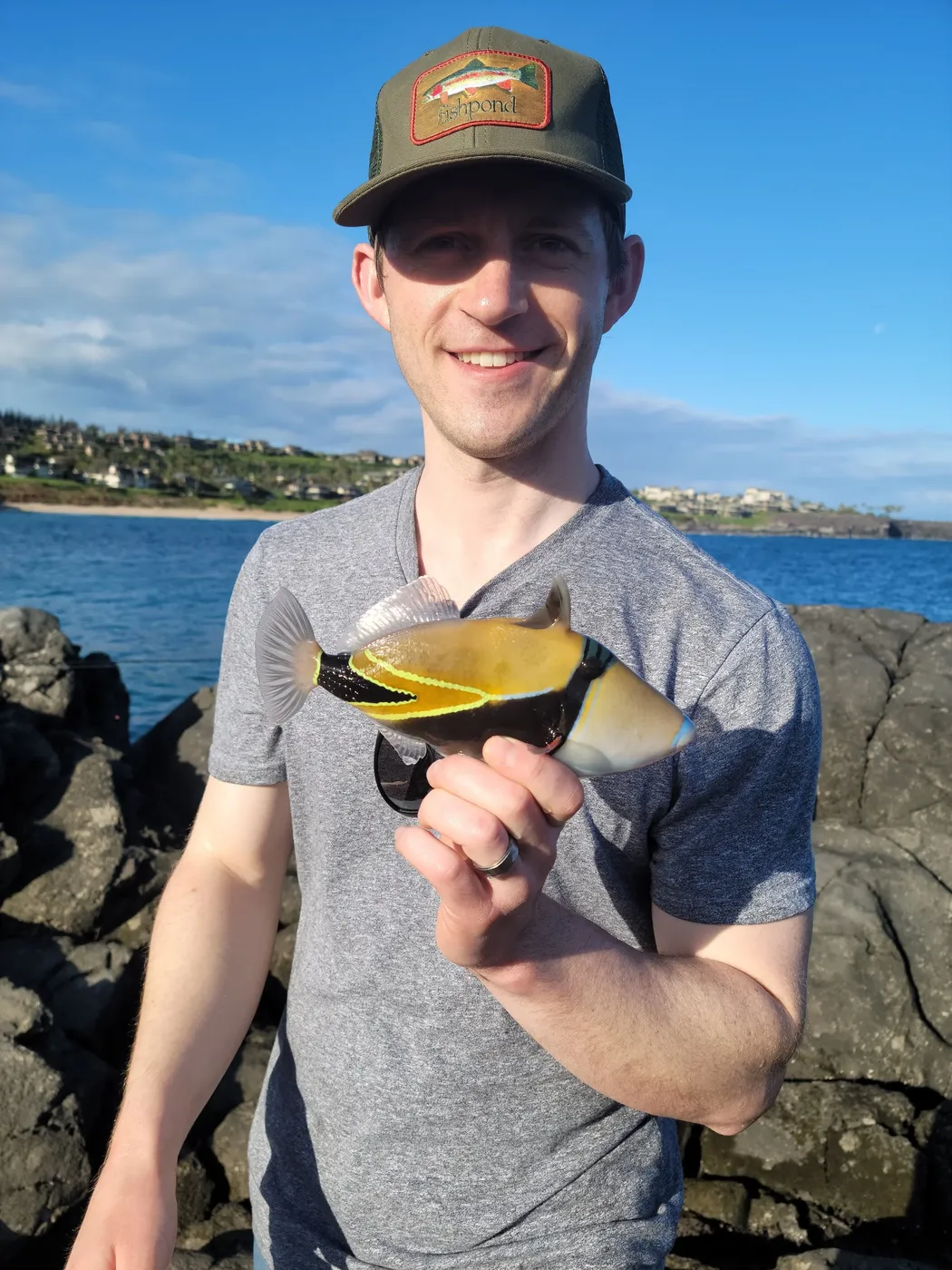 Hawaii Small Triggerfish