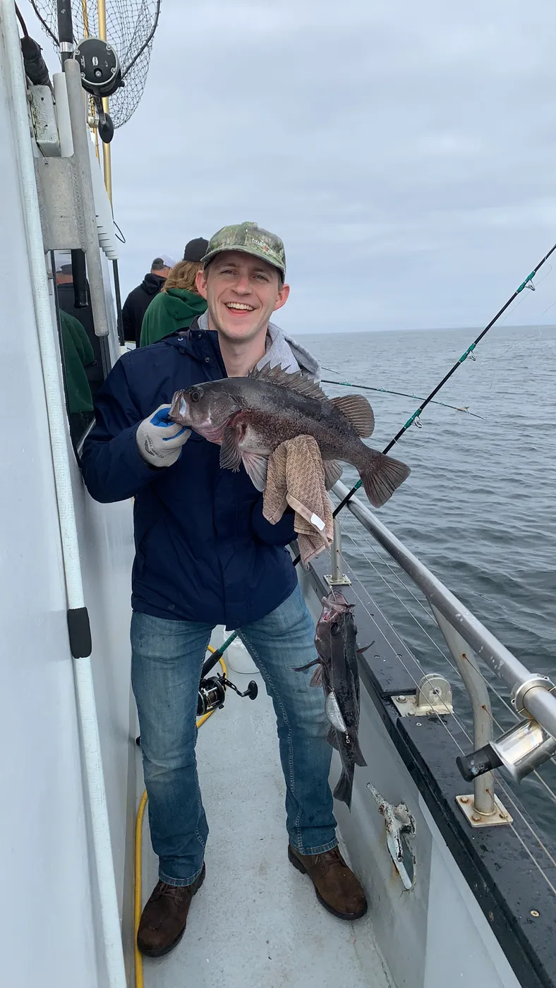Two Rockfish near Westport, WA